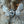 Load image into Gallery viewer, Sufi Heart Wing Silver