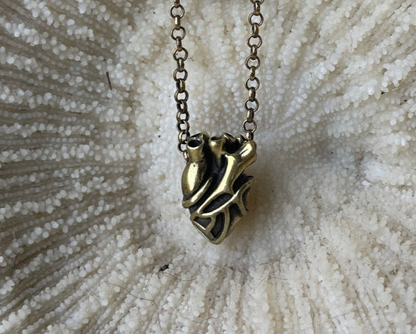 anatomical heart pendant. heart pendant necklace. brass heart. macabre heart pendant.