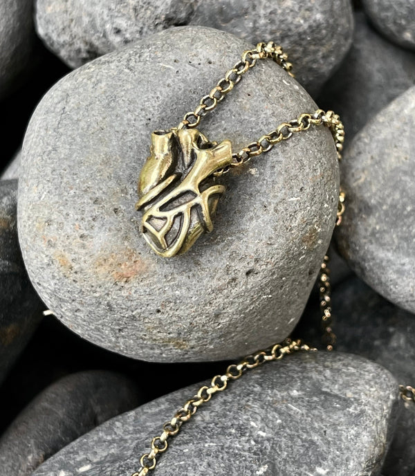 anatomical heart pendant. heart pendant necklace. brass heart. macabre heart pendant.