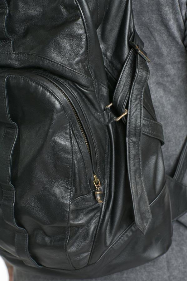 dingo back pack