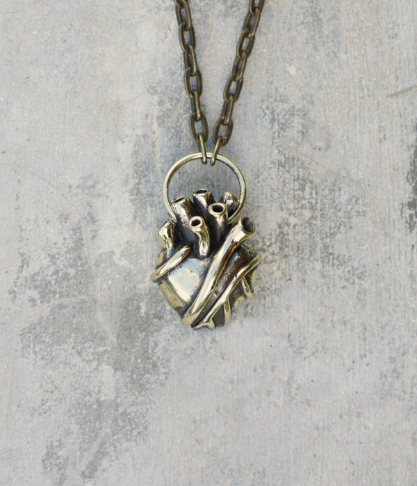 anatomical heart pendant. large brass heart. heart necklace on brass chain.